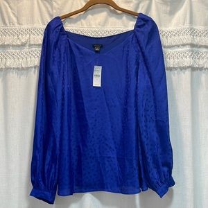 Ann Taylor long sleeve blouse